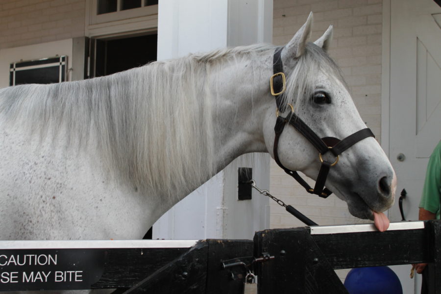 Churchill Downs, Tour, October 2016