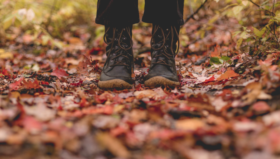 Standing in Fall Leaves